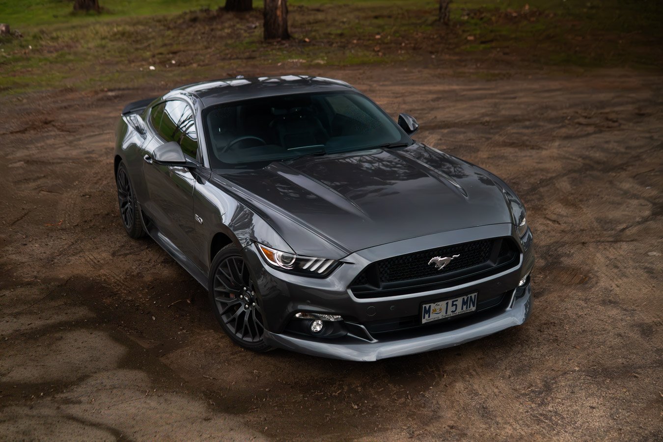 Grey Ford Mustang GT front three-quarter view on a gravel clearing
