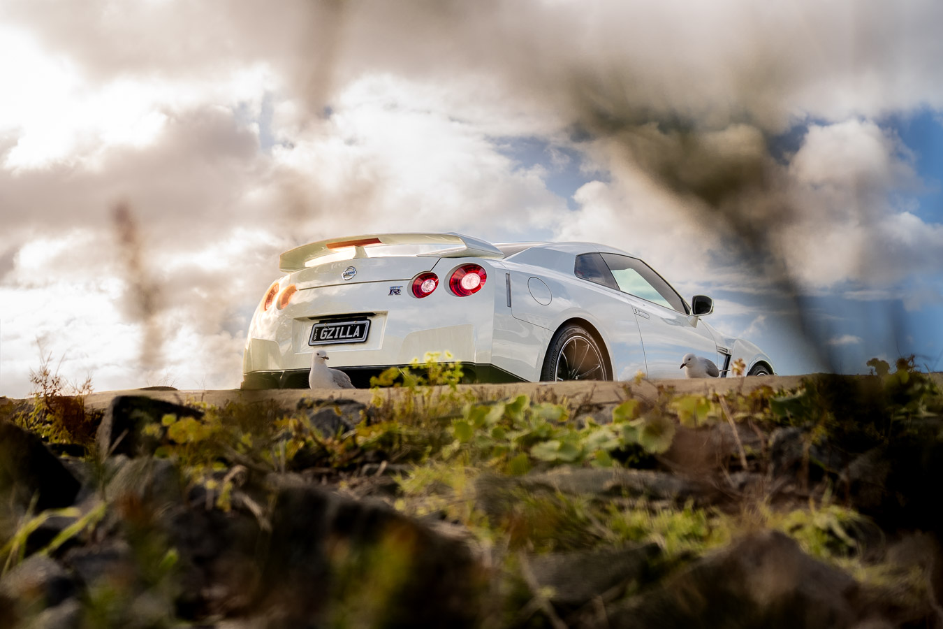 White Nissan GT-R rear view framed by coastal scrub and seagulls
