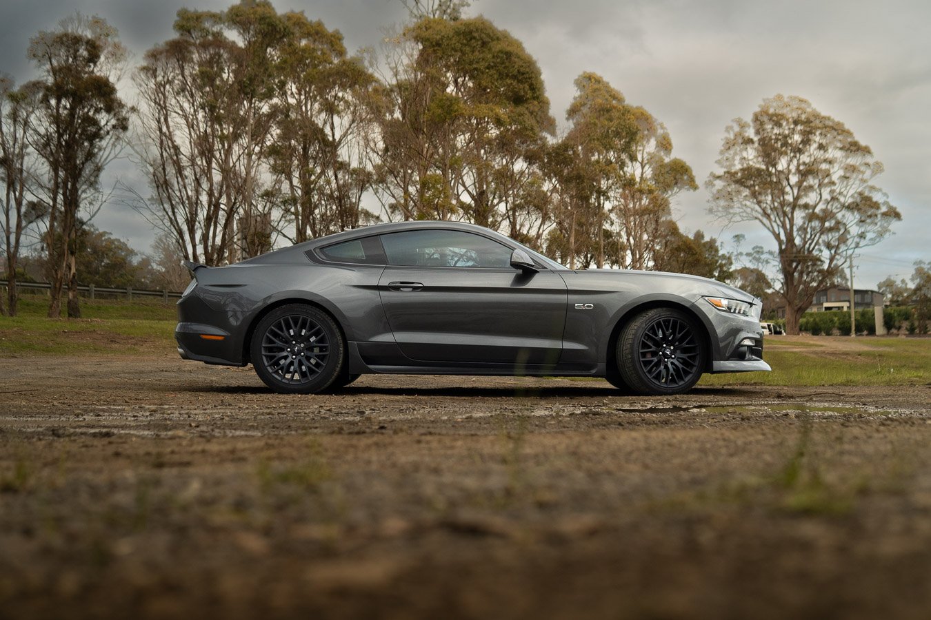 Grey Ford Mustang GT side profile among gum trees